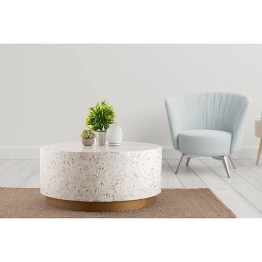 shine mother of pearl coffee table By Ashborn furniture